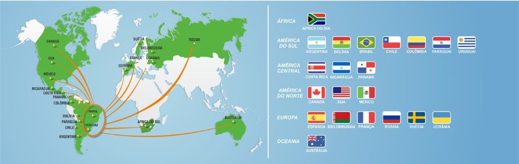 巴西客户的客户群体